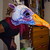 :iconflower-head: