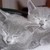 :iconflower3245: