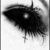 :iconflower6: