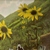 :iconflowerchildx0x: