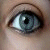 :iconflowerchubby: