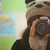 flowerfairie :iconflowerfairie: