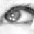 :iconflowerfairy1720: