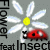 :iconflowerfeatinsect: