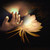 :iconflowerfromrio:
