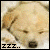 :iconflowergirl10: