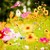 :iconflowergirl1o7: