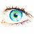 :iconflowerilywind:
