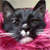 :iconflowering-poison: