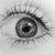 :iconflowerinka: