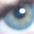 :iconflowerinthespring: