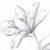 :iconflowerjo: