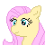 :iconflowerleaf: