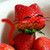 :iconflowerlighthouse: