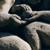 :iconflowerofevils: