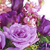 :iconflowerpetalsss: