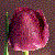 :iconFlowerPotty: