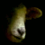 :iconflowerpotzuar: