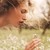 :iconflowersgalore: