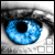 :iconflowvision:
