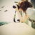 :iconfloy09: