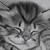 :iconflufffurr: