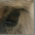 :iconfluffphotography: