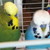 :iconfluffybird101: