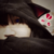 :iconfluffybunny710: