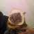 :iconfluffyfleur:
