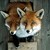 :iconfluffyisfluffy: