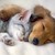 :iconfluffykittengood: