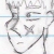 :iconfluffythecornsnake: