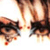 :iconfluffytuffy: