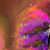 :iconfluorescentsign: