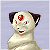 :iconfluorii: