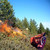 :iconflurry642: