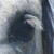 :iconflussglanz: