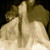 :iconflutterby-honeywolf:
