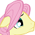 :iconflutterguy1357: