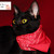 Flutterguyy :iconflutterguyy: