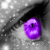 :iconflutteri: