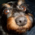 :iconflutteringfan: