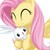 :iconfluttershysfan: