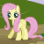 :iconflutterthewolf: