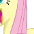 Fluttertroll4plz :iconfluttertroll4plz: