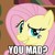 :iconflutterwry95: