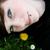 :iconfluvia: