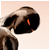 :iconfluxcreations: