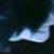 :iconfluxit: